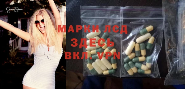 прущие грибы Арсеньев