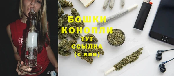 прущие грибы Арсеньев