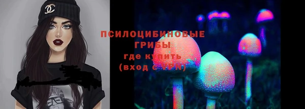 дмт Аркадак