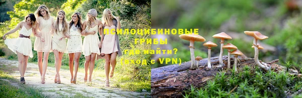 прущие грибы Арсеньев