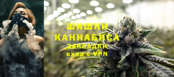прущие грибы Арсеньев