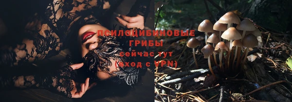 прущие грибы Арсеньев